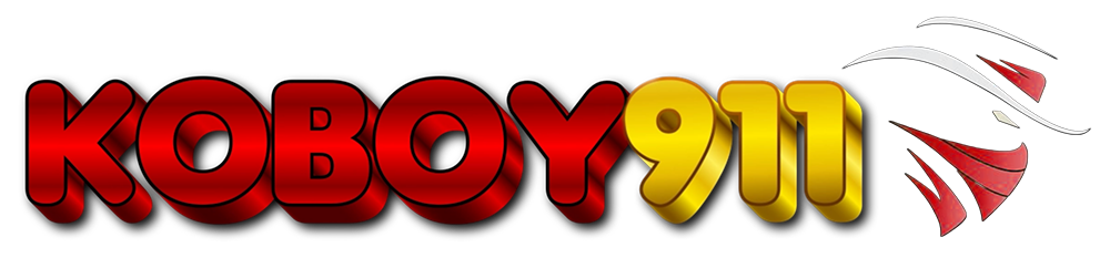 Logo KOBOY911